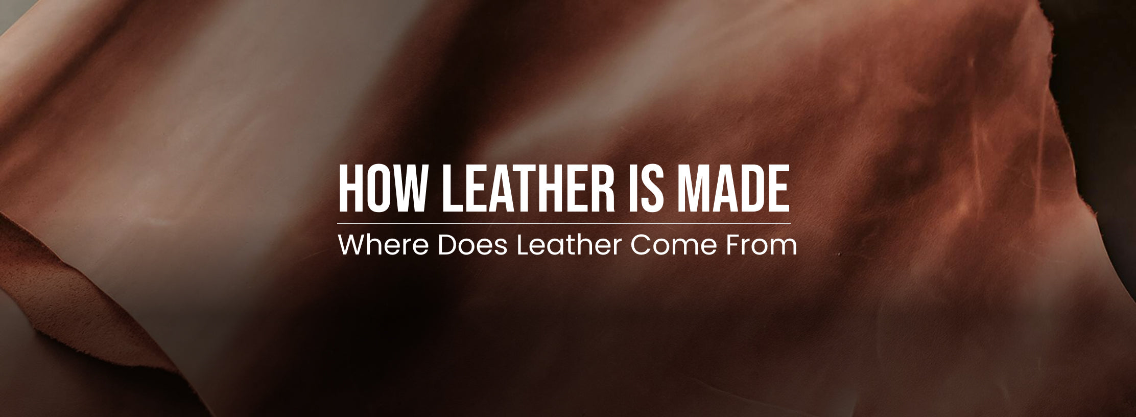 What is Leather Made of & Where Does Leather Come From?